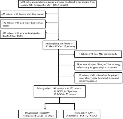 Magnetic resonance imaging radiomics to differentiate ovarian sex cord-stromal tumors and primary epithelial <mark class="highlighted">ovarian cancers</mark>